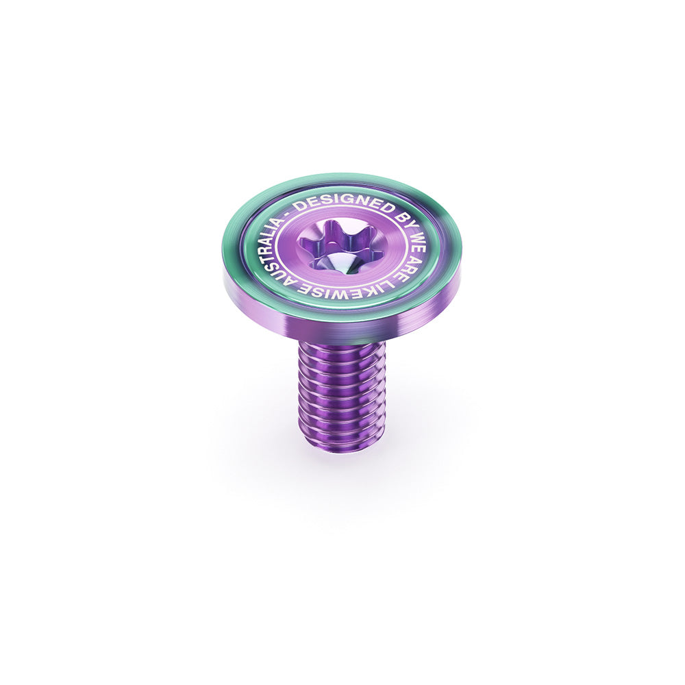 Torx Hardware